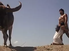 پس از کار عصبی ، آرا ...