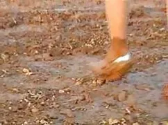 نیروهای خانه سیندرلا ...