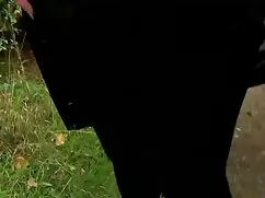 لیس پا و دوست گروه س ...
